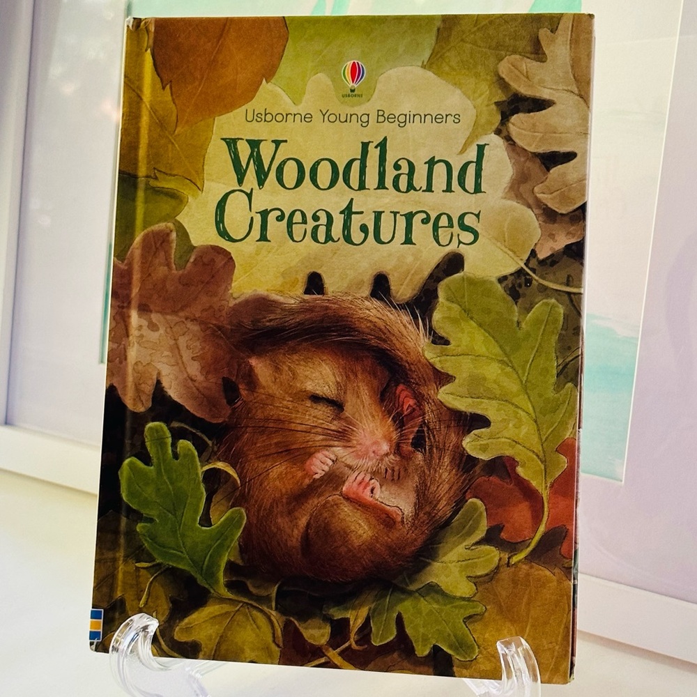 Usborne Young Beginners Woodland Creatures Hardcover Picture Book